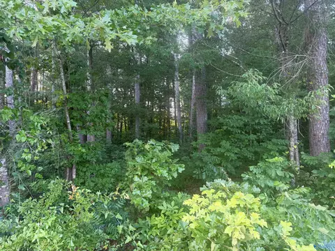 Tract A & B River Pointe Drive, Cedar Bluff, AL 35959 photo 10