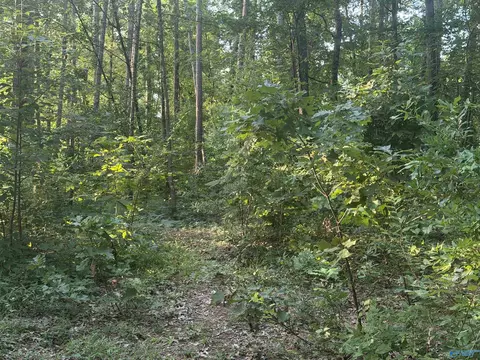 Tract A & B River Pointe Drive, Cedar Bluff, AL 35959 photo 11