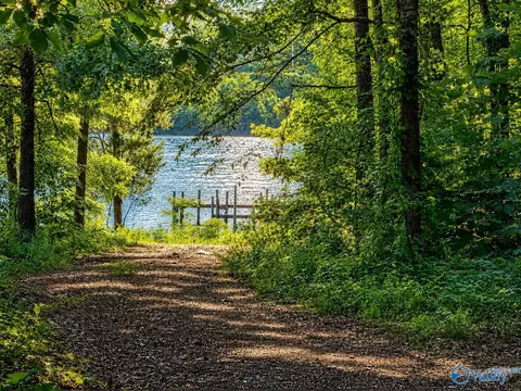 Tract A & B River Pointe Drive, Cedar Bluff, AL 35959 photo 6