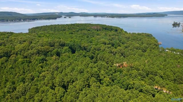 710 John Cabaniss Rd, Langston, AL 35755