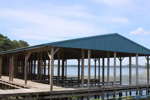 460 John Cabaniss Rd, Langston, AL 35755 photo 17