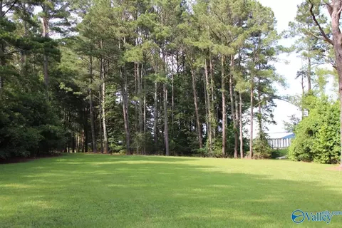 460 John Cabaniss Rd, Langston, AL 35755 photo 10