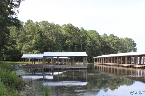 460 John Cabaniss Rd, Langston, AL 35755 photo 15