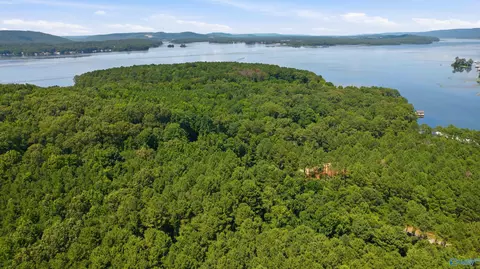 460 John Cabaniss Rd, Langston, AL 35755 photo 1