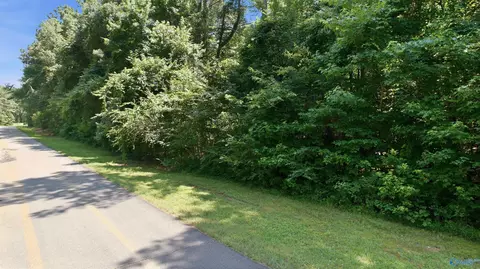 460 John Cabaniss Rd, Langston, AL 35755 photo 12
