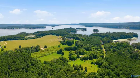 460 John Cabaniss Rd, Langston, AL 35755 photo 3