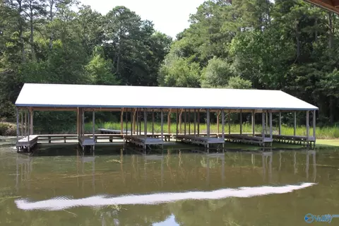 460 John Cabaniss Rd, Langston, AL 35755 photo 14