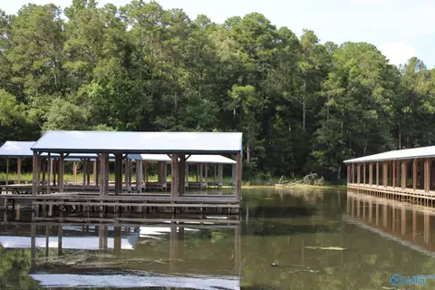460 John Cabaniss Rd, Langston, AL 35755 photo 16