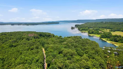 460 John Cabaniss Rd, Langston, AL 35755 photo 9