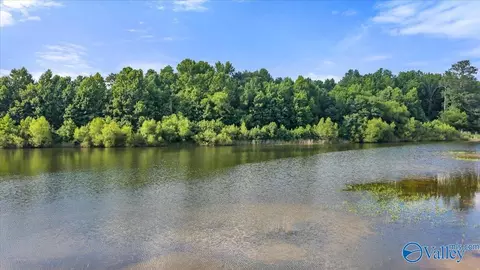 View/Area - 4831 Highway 71, Dutton, AL 35744 photo 2 of 2