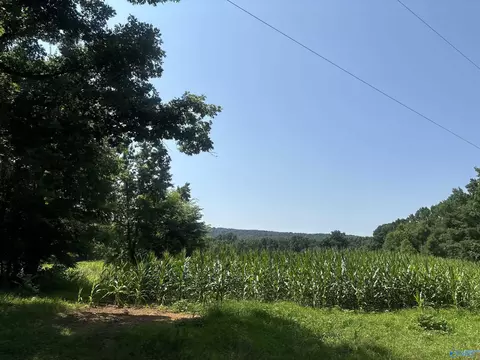 1014 Old Winchester Rd, New Market, AL 35761