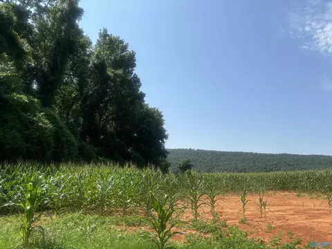 99 Ac Simmons Ln, New Market, AL 35761