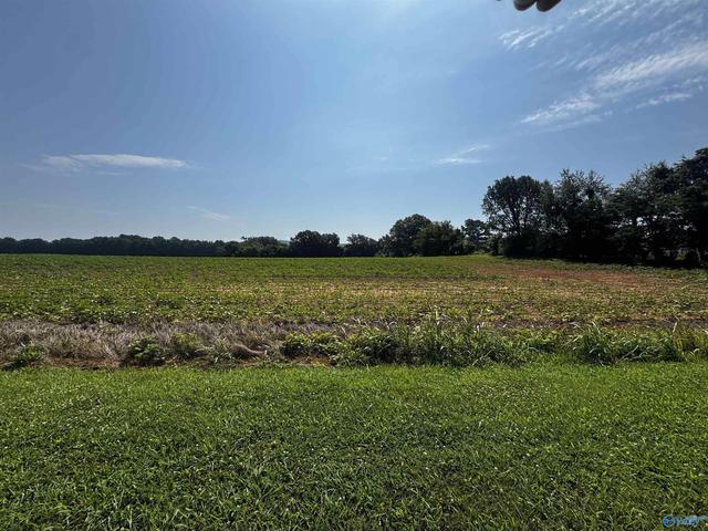 5 Ac Steele Ln, New Market, AL 35761