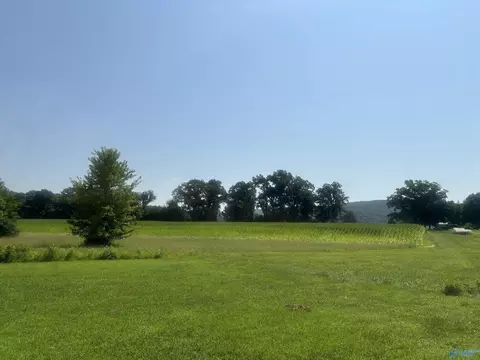 457 Oakley Chapel Rd, New Market, AL 35761