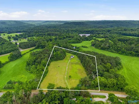 7 5 Acres Pine Burr Rd, Eva, AL 35621