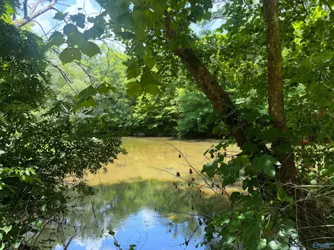 lot34 County Road 336, Piedmont, AL 36272