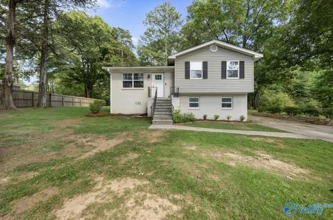408 5th Ave, Pell City, AL 35125