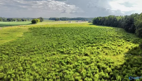 26 Acres Piney Chapel Rd, Elkmont, AL 35614