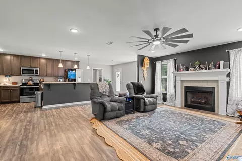 Other - 6677 County Road 19, Section, AL 35771 photo 1 of 4