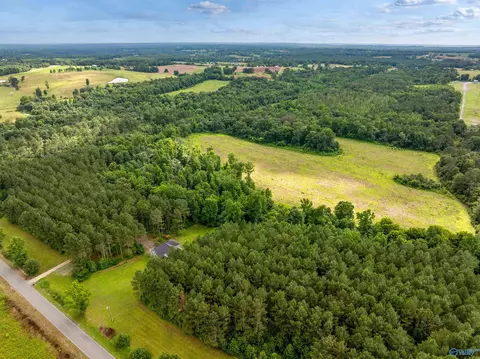 View/Area - 6677 County Road 19, Section, AL 35771 photo 4 of 6