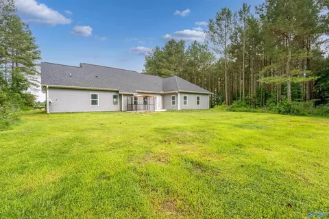 Exterior - 6677 County Road 19, Section, AL 35771 photo 5 of 6
