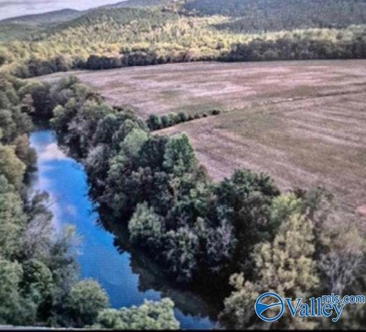 lot29 County Road 336, Piedmont, AL 36272