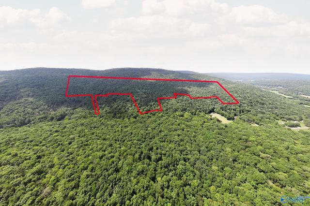 70 45 Acres Upper Hurricane Rd #00, New Market, AL 35761