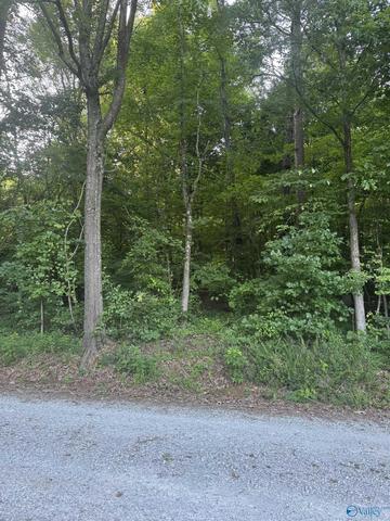 lot71 Goldenrod Way, Athens, AL 35614