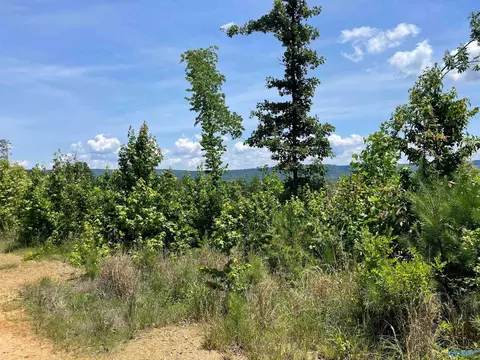 199 Acres Hornbuckle Rd, Collinsville, AL 35961