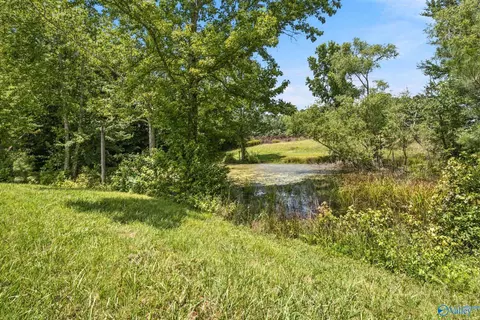 2083 County Road 66, Section, AL 35771 photo 35