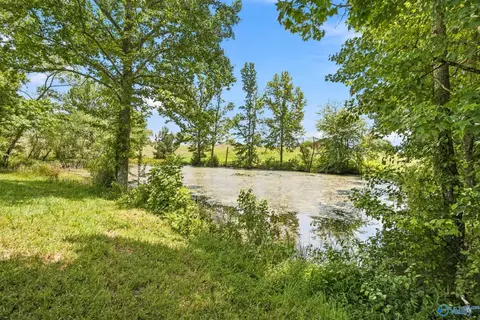 2083 County Road 66, Section, AL 35771 photo 37