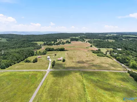 2083 County Road 66, Section, AL 35771 photo 44
