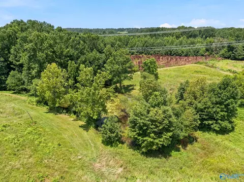 2083 County Road 66, Section, AL 35771 photo 38
