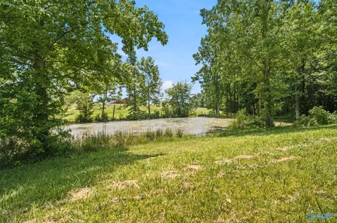 2083 County Road 66, Section, AL 35771 photo 36