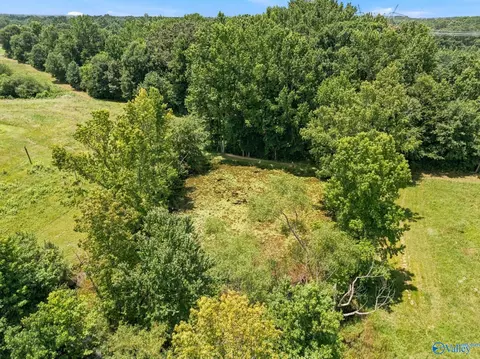 2083 County Road 66, Section, AL 35771 photo 39