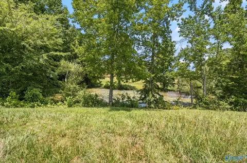 2083 County Road 66, Section, AL 35771 photo 34