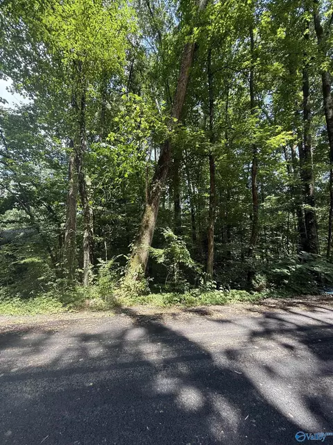 lot3 Kristi Ln, Grant, AL 35747