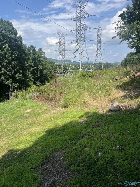 1 12 Acres Savory Dr, Scottsboro, AL 35769