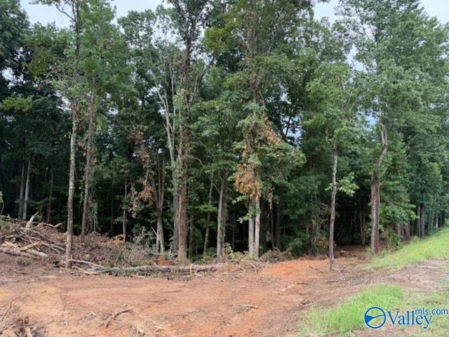 2756 Wilhite Rd, Falkville, AL 35622