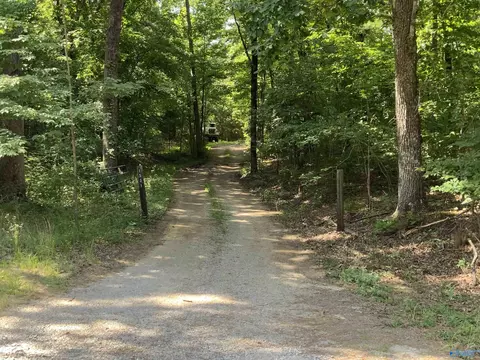 15 Acres County Road 216, Woodville, AL 35776