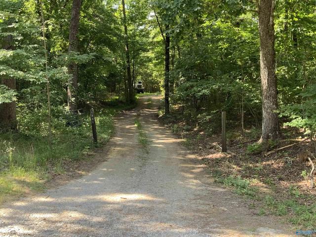 15 Acres County Road 216, Woodville, AL 35776