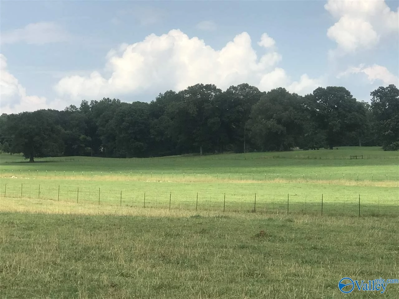 1 Hawthorn Way, Trinity, AL 35673 photo 2