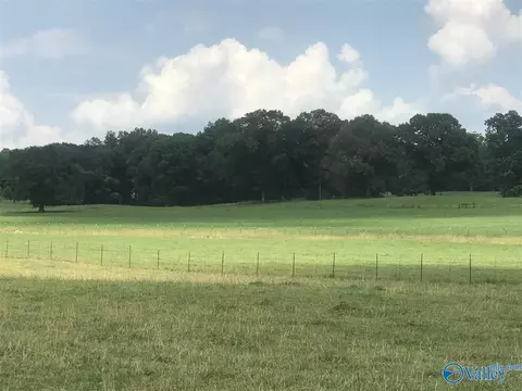9 Hawthorn Way, Trinity, AL 35673 photo 2