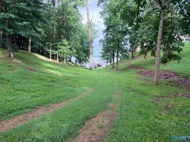 lot230 Lookout Mountain Dr, Scottsboro, AL 35769