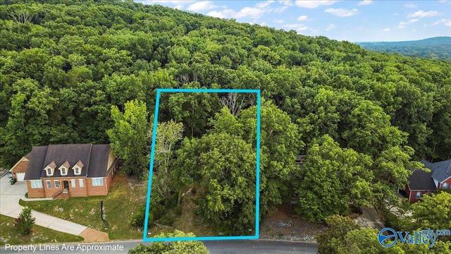 3040 Box Canyon Rd, Huntsville, AL 35803