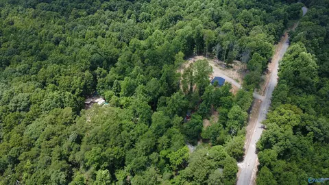 2194 County Road 189, Bridgeport, AL 35740