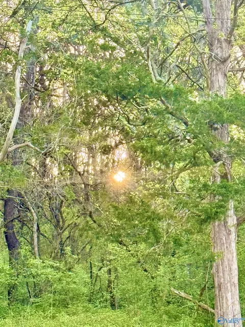 4 94 Acres Lyons Rd, Decatur, AL 35603