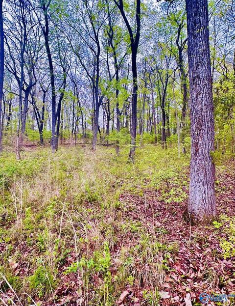 lot14 Murray Dr, Decatur, AL 35603