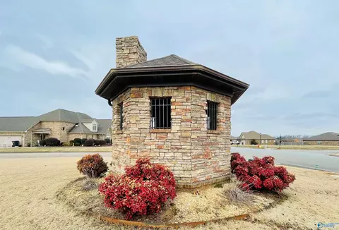 lot101 Tower Ct, Trinity, AL 35673 photo 5