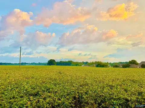 15 Acres Tower St, Trinity, AL 35673 photo 8